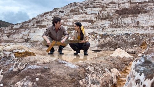 A Machu Picchu Proposal (2025)