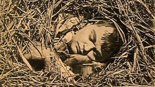The Hayseed (1919)