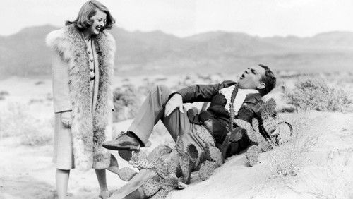 The Bride Came C.O.D. (1941)