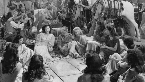 Flame of Araby (1951)