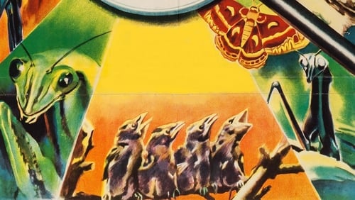 Luonnon ihmeet (Short 1951)