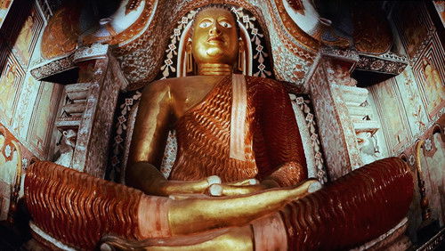 Search for Paradise (1957)