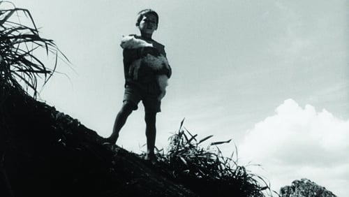 Couro de Gato (Short 1962)