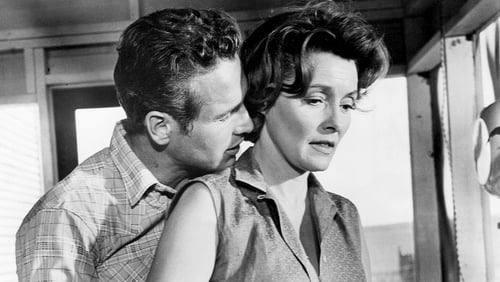 Der Wildeste unter Tausend (1963)