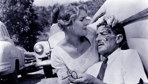 Der Mittagsmörder (1963)