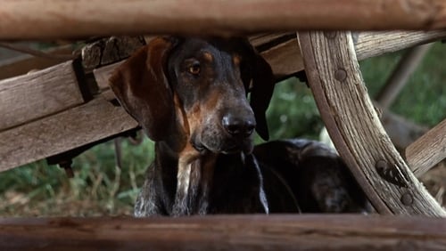 Im Tal der Apachen (1963)