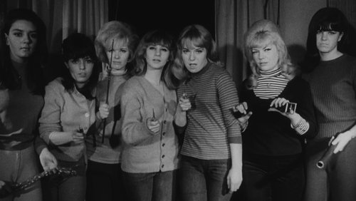 Teenage Gang Debs (1966)