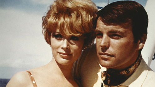 How I Spent My Summer Vacation (1967)