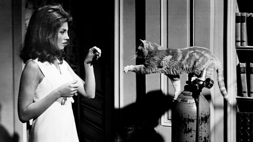 Eye of the Cat (1969)