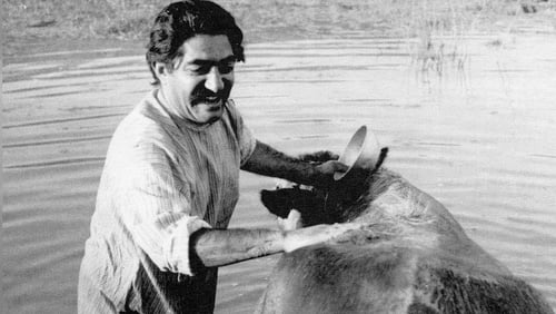 Die Kuh (1969)