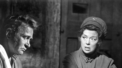 Mrs. Pollifax-Spy (1971)