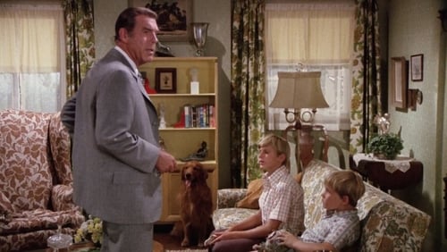 Charley und der Engel (1973)