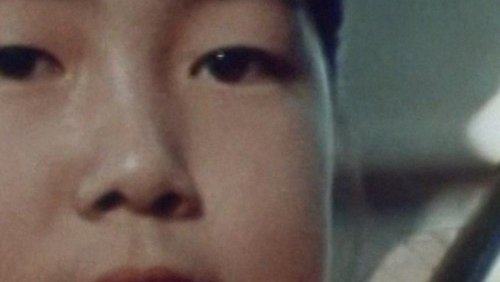 The Other Half of the Sky: A China Memoir (1975)