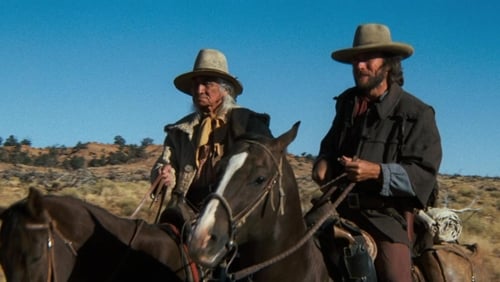 Der Texaner (1976)