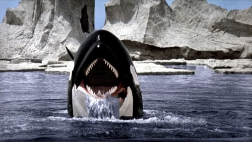 Orca, der Killerwal (1977)