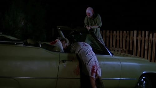 The Ransom (1977)