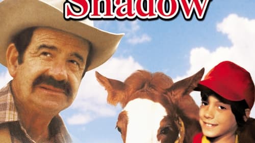 Caseys Schatten (Der Champion) (1978)