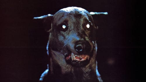 Zoltan, Draculas Bluthund (1977)
