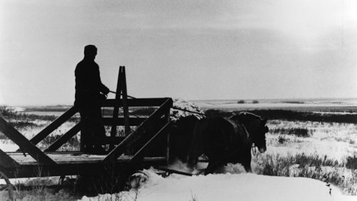 Northern Lights (1978)