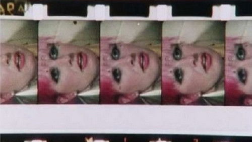 Zandra Rhodes (1981)