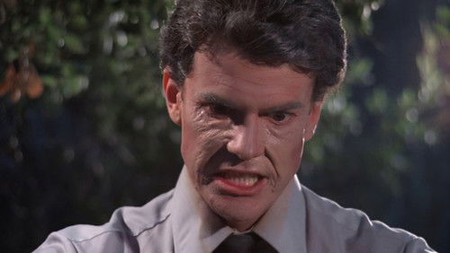 Don’t Go Near the Park (1979)