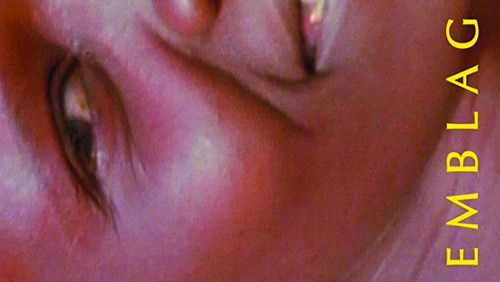 Reassemblage: From the Firelight to the Screen (1983)