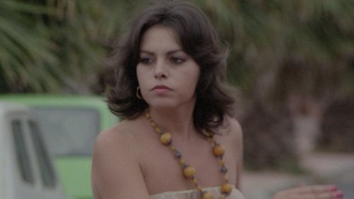 Night of Open Sex (1983)