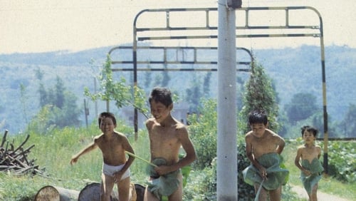Dong dong de jiàqi (1984)