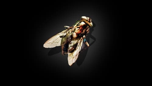 Die Fliege (1986)