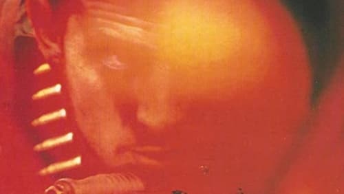 The Stick (1988)