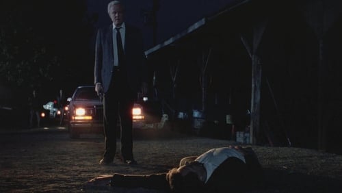 Silent Night, Deadly Night 3: Better Watch Out! (Video 1989)