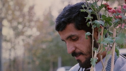 Close Up (1990)