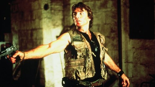 The Final Sanction (1990)