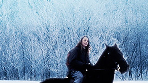 The Christmas Stallion (1992)