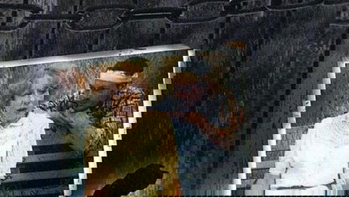 God sobaki (1994)