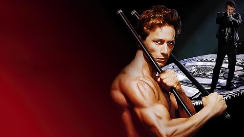 Martial Outlaw (1993)