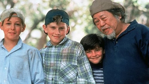3 Ninjas Fight & Fury (1993)