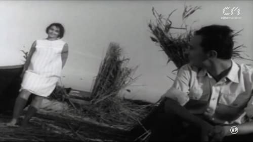 Tarmul n-are sfârsit (1962)