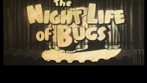 Night Life of the Bugs (1936)