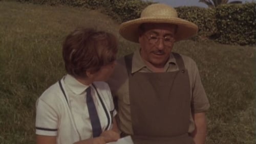 Rita la zanzara (1966)