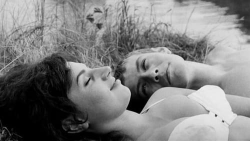 Slnko v sieti (1963)