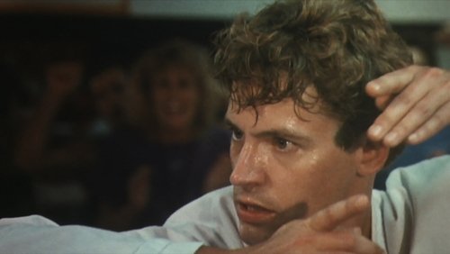Karate Warrior 3 (1991)