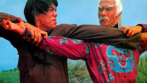 10 Brothers of Shaolin (1977)