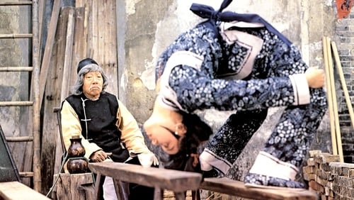 The Story of Drunken Master (1979)
