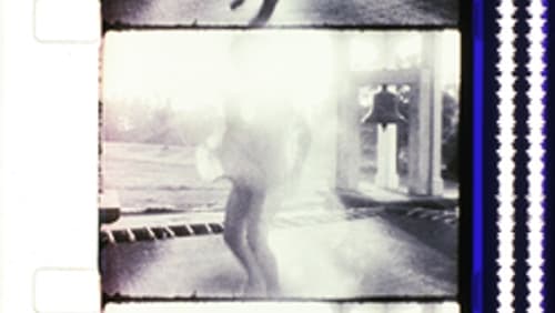 Report from Millbrook (Short 1966)
