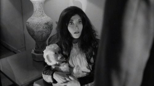 Confessions of a Psycho Cat (1968)