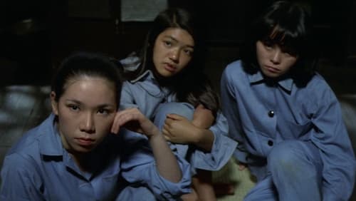 Zoku jitsuroku onna kanbetsusho (1975) Full Movie Watch Online 123Movies