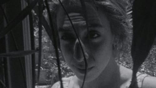 Soft Fiction (1979)