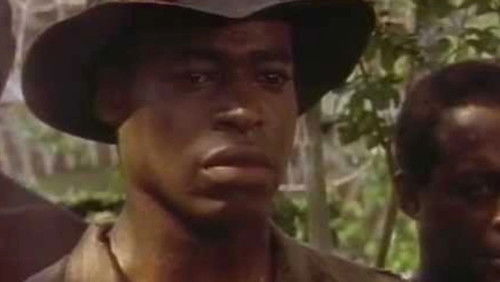 Brother Future (1991)