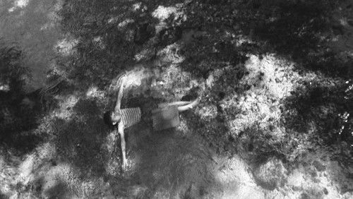 Rentrée des classes (1955)